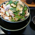 肉汁うどんの南哲 - ひや肉うどん中盛り＋温玉＋ねぎ増し