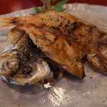 伊豆高原 城ケ崎温泉 花吹雪 - 