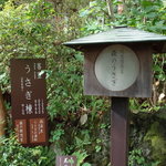 伊豆高原 城ケ崎温泉 花吹雪 - 