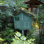 伊豆高原 城ケ崎温泉 花吹雪 - 