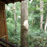 伊豆高原 城ケ崎温泉 花吹雪 - 