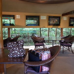 伊豆高原 城ケ崎温泉 花吹雪 - 