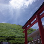 伊豆高原 城ケ崎温泉 花吹雪 - 