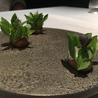 カセント - 