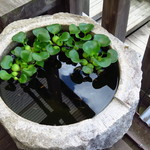 みくに茶屋 - めだか鉢