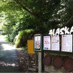 アラスカ - 舗装路を進んでいきます。