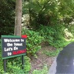 途中分岐あり、看板に従って右折。