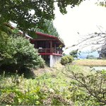 アラスカ - 林の中からようやくお店が見えました。