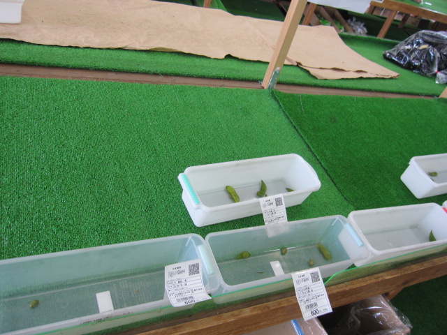 産直　あぐり - 鶴岡（海鮮丼）の写真