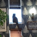 カフェ ウォルナット - 