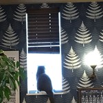 カフェ ウォルナット - 