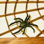 おちあいろう - 