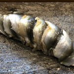 寿司栄 - 新子（静岡）・・7枚重ね。優しい〆加減。