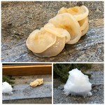 寿司栄 - ◆ミル貝、塩とダイダイの泡で・・スライスしてありますので食べやすいですし、噛むと特有の旨みが。 ダイダイの風味も合います。