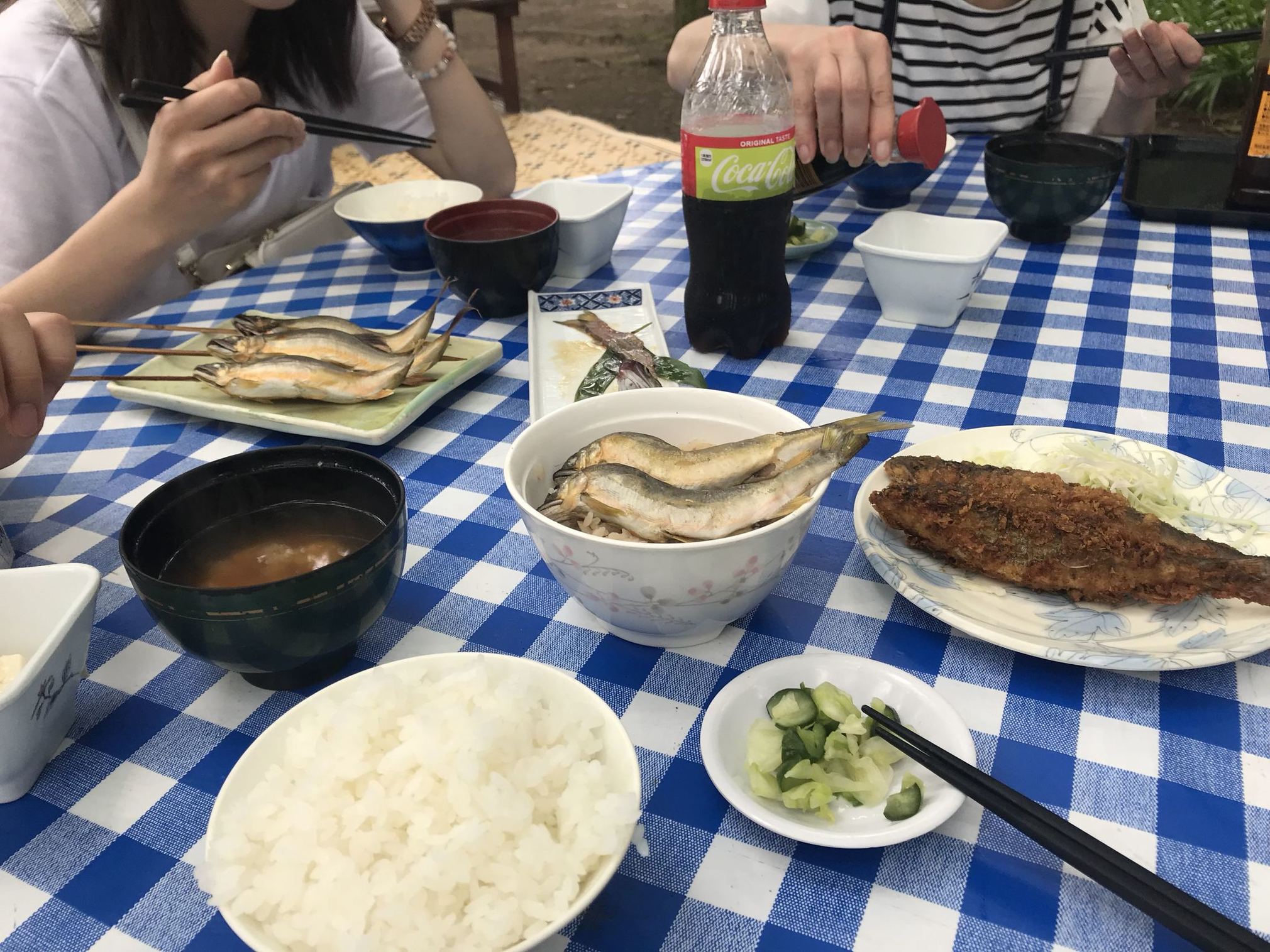 高瀬観光やな name=