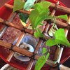 日本料理 木の花 日本料理 木の花