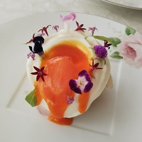 エリゼ光 - 