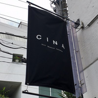 CINA New Modern Chinese - 