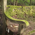 エンボカ 軽井沢 - レストラン中庭にある緑に覆われた雰囲気たっぷりのベンチ