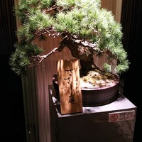 ささら庭 - 