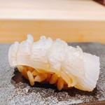 はっこく - 2018.8  槍烏賊