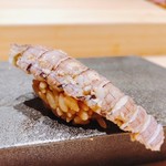 はっこく - 2018.8.  蝦蛄