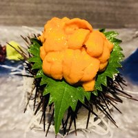 宇田川 紫扇 - 