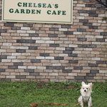 CHELSEA'S GARDEN CAFE - お食事のあとはお店併設のドッグラン
