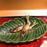 銀座 しのはら - 2018天竜川と郡上八幡の鮎