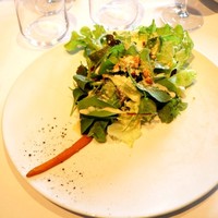 Wattle Tokyo - 