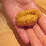 鮨 さかい - 大間、北紫海胆