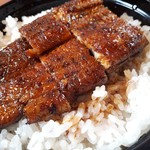 Unagi Matsumoto - 