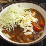 カレーうどん（大）
