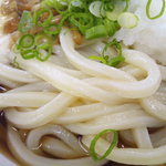 さか枝うどん - うどんが綺麗ですね