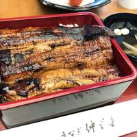 うなぎ 仲じま - 