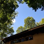 森の中のレストラン こどう - 