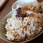 自然食 ホロ - 玄米ご飯です。