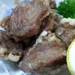 からあげ屋 -         砂ズリのからあげ  アップ