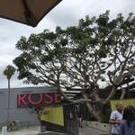 Rose Cafe & Restaurant - 
