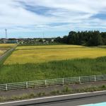 ウシマル - 松尾駅ホームからの風景