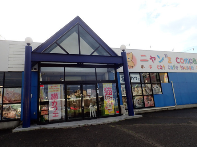 ニャンズカンパニー 富谷店（ニャン'z company） - 富谷町その他（その他）