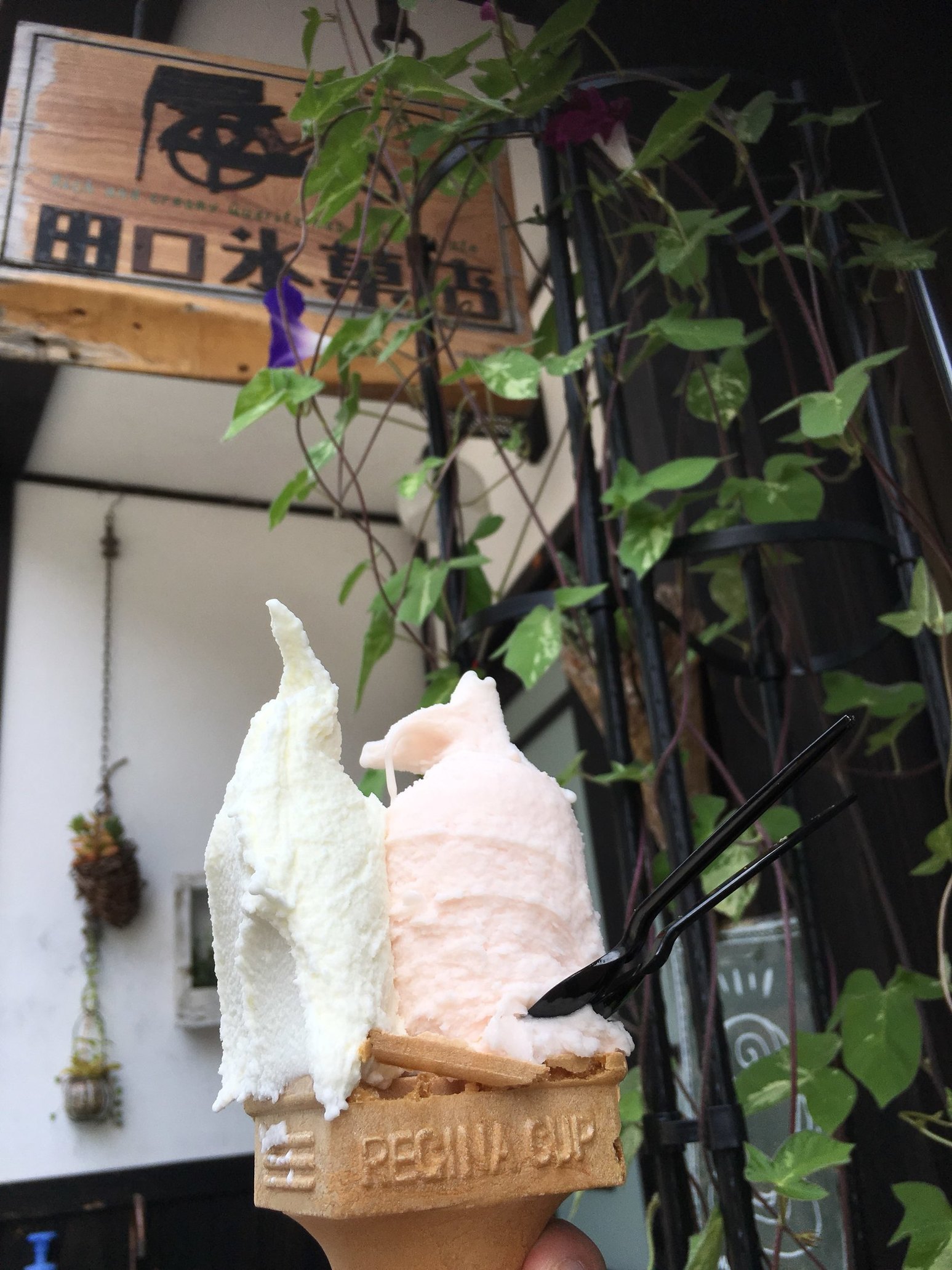 田口氷菓店 name=