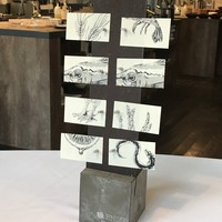 Installation Table ENSO L'asymetrie du calme - クイズ形式！？イラストのメニュー