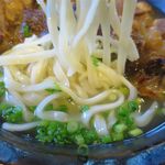 風遊斎 - カメ カメースバの麺
