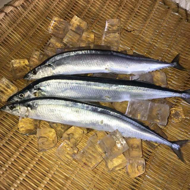 Wa わ ひたち野うしく 居酒屋 食べログ