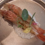 カセント - 海老