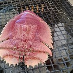 大黒丸 - 初めて見て食べたウチワエビ