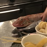 ROBATA 幸 - 