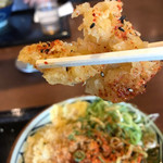 Marugame Seimen - 