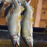 杉ケ瀬ヤナ - ２０１１年は８月２４日に尺鮎（３０ｃｍ）が落ちた驚愕の年でした